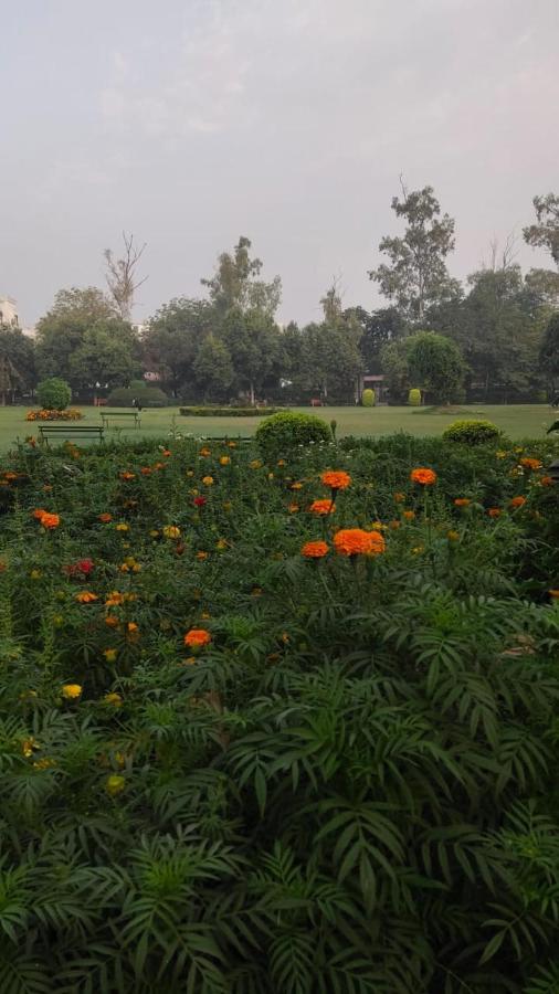 Maplewood Guest House, Neeti Bagh, New Delhiit Is A Boutiqu Guest House - Room 5 Eksteriør billede