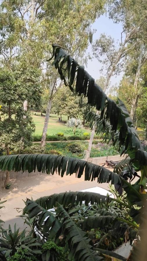 Maplewood Guest House, Neeti Bagh, New Delhiit Is A Boutiqu Guest House - Room 5 Eksteriør billede